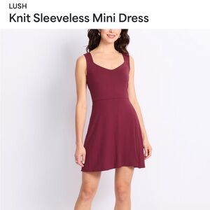 Lush Burgundy Knit Sleeveless Mini Dress